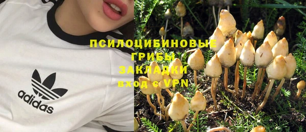 гашишное масло Заводоуковск